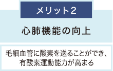 メリット2 心肺機能の向上 毛細血管に酸素を送ることができ、有酸素運動能力が高まる
